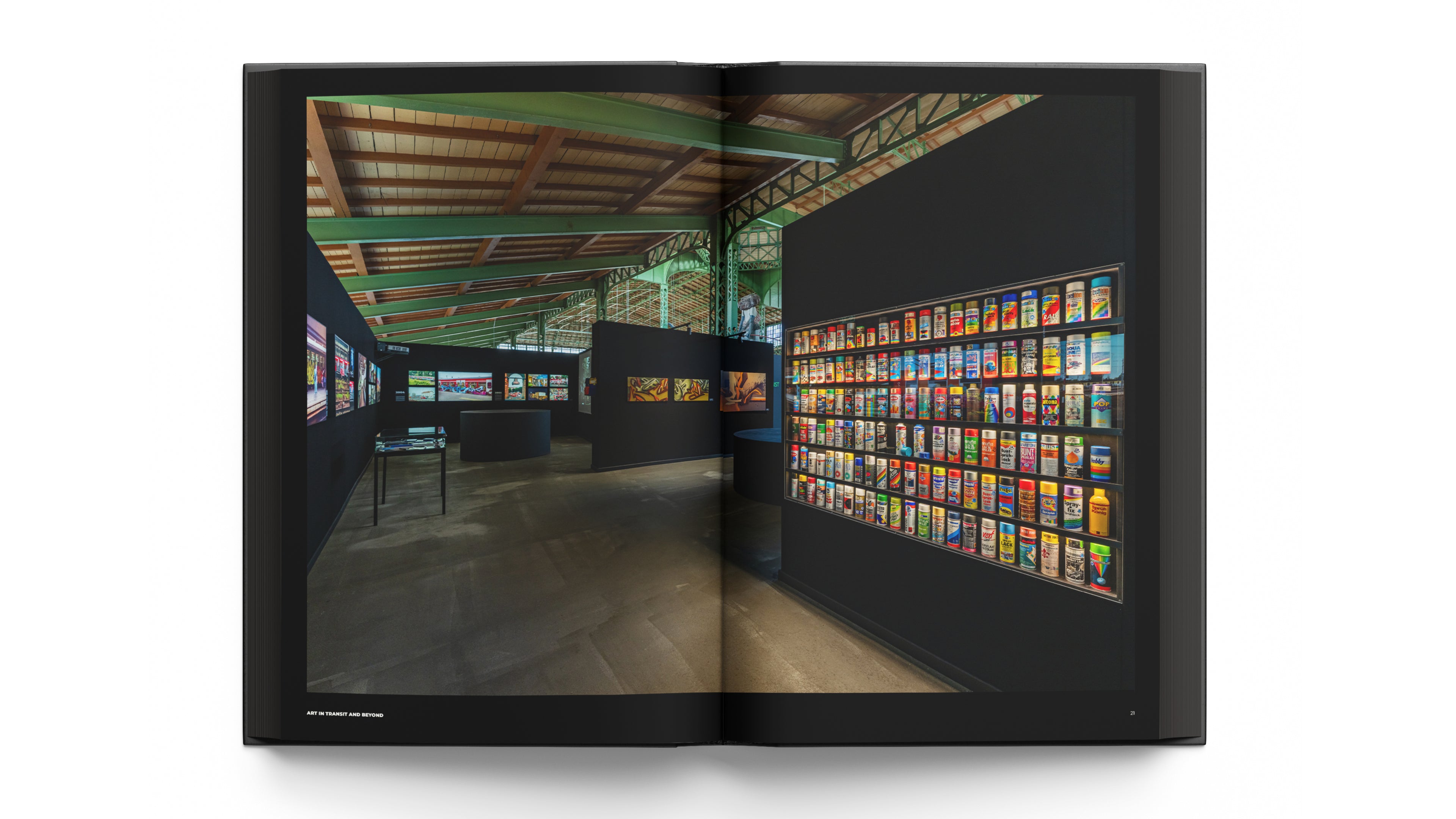 ART IN TRANSIT AND BEYOND